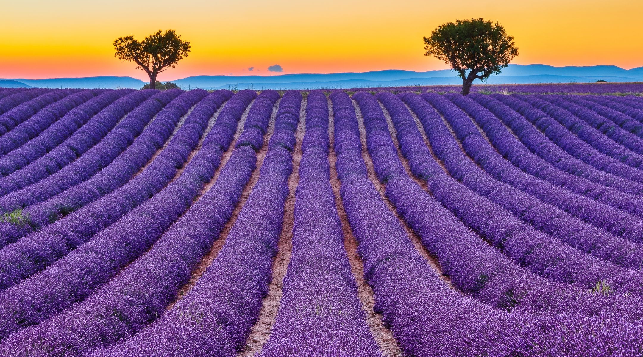 Two persons living in France but divorcing in Sweden